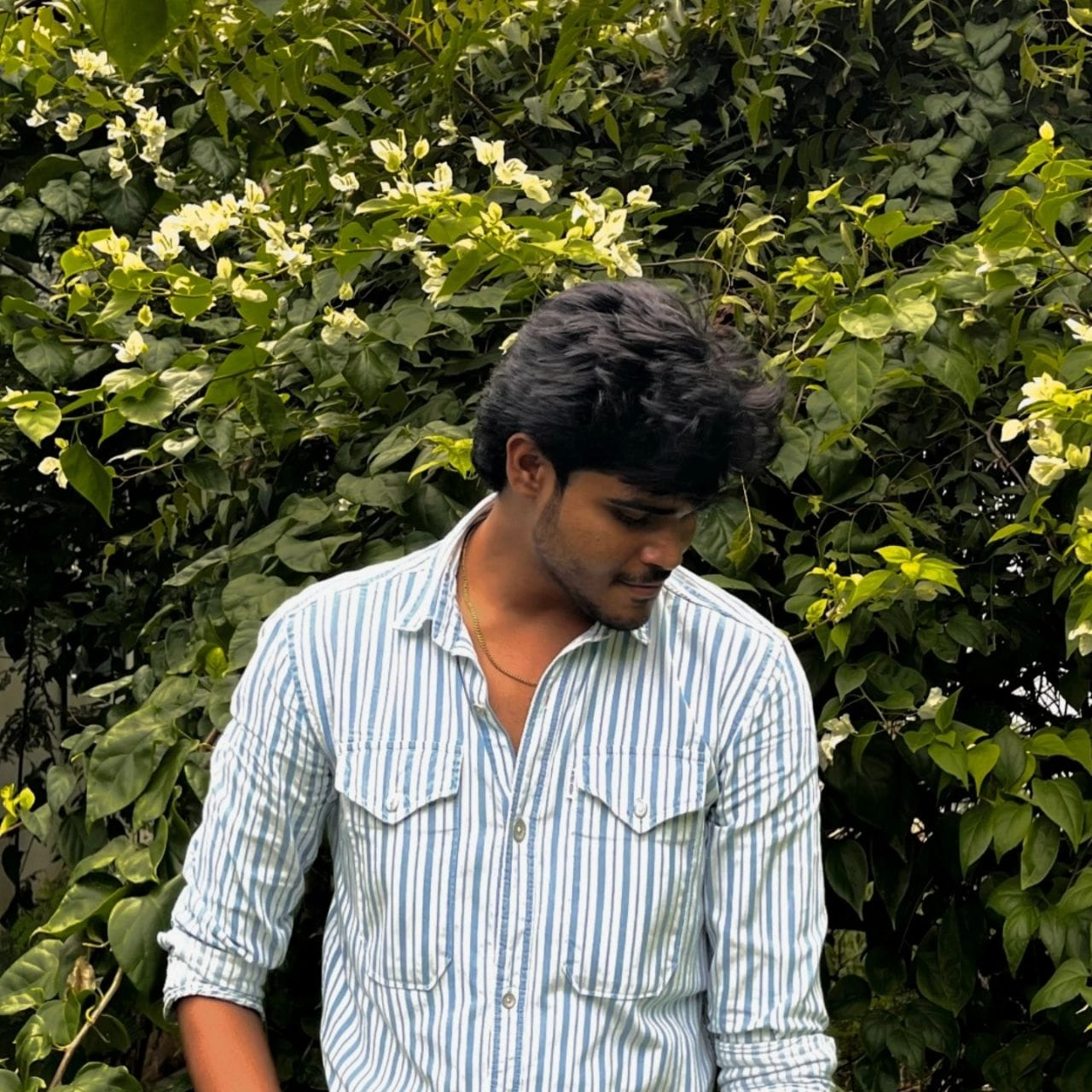 Priyadarshan S V